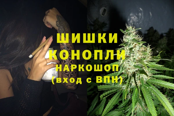 СК Дмитриев