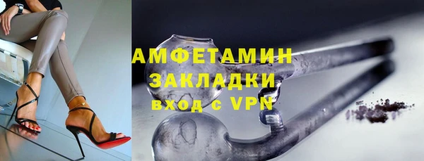 дмт Ельня