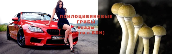 СК Дмитриев