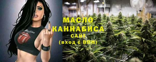 мдпв Дмитров