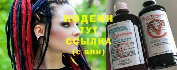 мдпв Дмитров