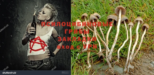 дистиллят марихуана Дмитровск