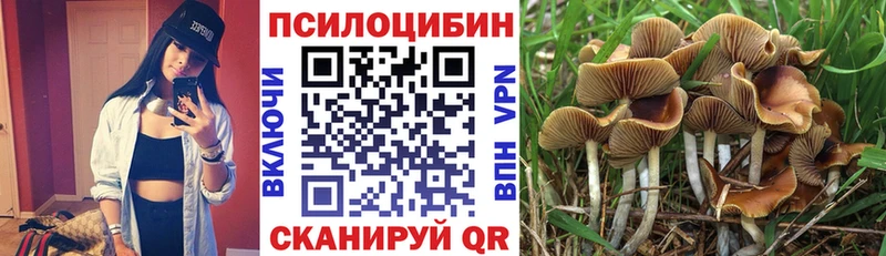 это Telegram  Вихоревка  Галлюциногенные грибы Magic Shrooms 